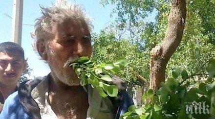 пакистанец пасе листа клони години оплаква болести