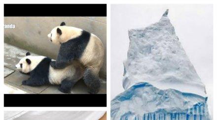 петте странни професии света