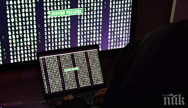 Удар! Интерпол откри в Югоизточна Азия близо 9 000 сървъра с вирусни програми