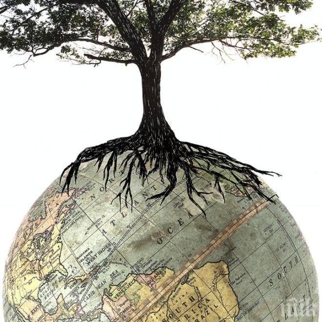 Празнуваме Международния ден на Земята! Посадете дърво в името на планетата ни
