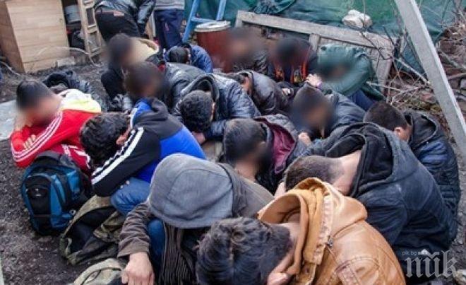 Всеки втори афганистанец получава убежище в Германия