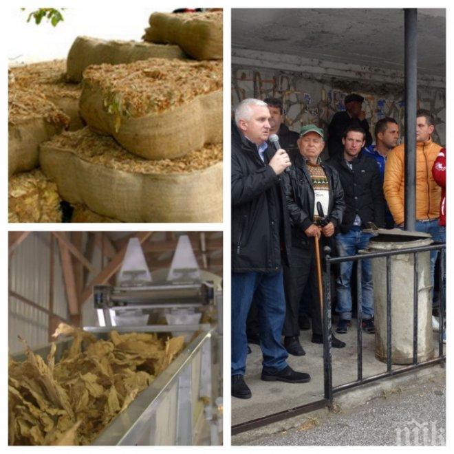 Банка запечата базата на мощна тютюнева фирма в Сандански