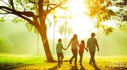 учени установиха ходете поумнеете