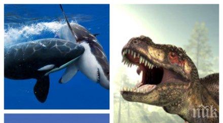 невероятни факти трудно приемете чиста истина