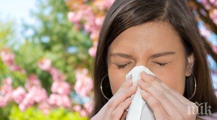 полезно всеки храни облекчават пролетните алергии