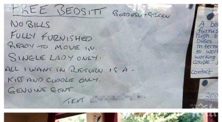 нова мода острова стая наем секс