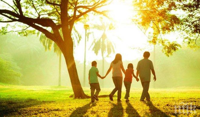 Учени установиха: Ходете, за да поумнеете!