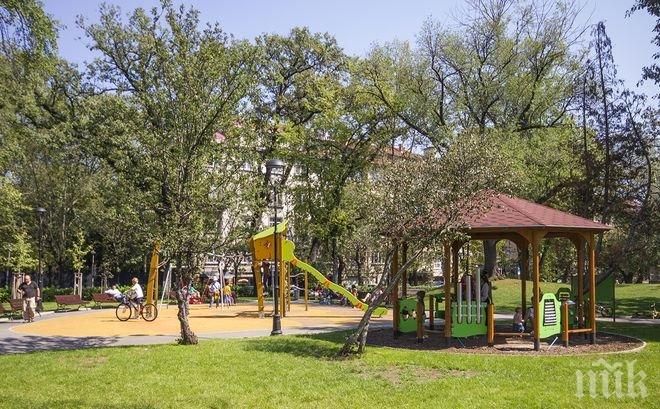Бум в София: Силно търсене на жилища край Докторската градина