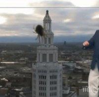 Рисковете на професията! Паяк шокира американски тв-водещ в ефир (ВИДЕО)