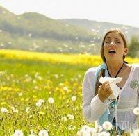 12 съвета как да се преборим със сенната хрема