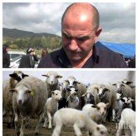 Фермер категоричен: Нашите агнета са най-вкусни