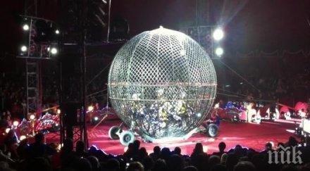 ужас арена балкански каскадьор мотор преби глобусът смъртта