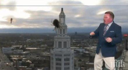 рисковете професията паяк шокира американски водещ ефир видео