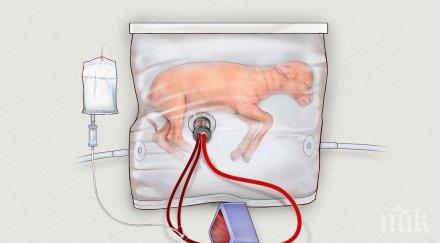 изобретиха изкуствена утроба недоносени бебета