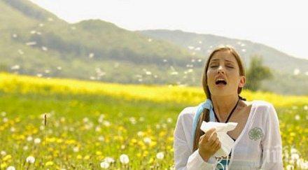 съвета преборим сенната хрема