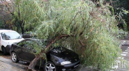 стихия жена загина заради бурите щата мисури