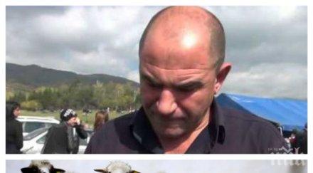 фермер категоричен нашите агнета вкусни