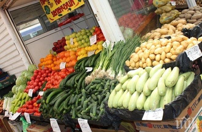 Студът прецака зарзаватите - наша продукция на пазара почти няма 