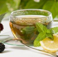 Полезно! 10 храни, които се грижат за черния дроб