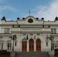 Парламентът обяви обществена поръчка за цветя за 180 000 лева