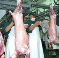 Агнешкото удари 17 лева за Гергьовден