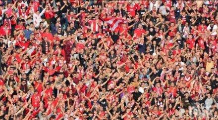 сектор нов любимец