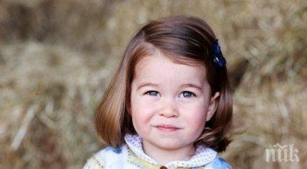 кейт мидълтън снима принцеса шарлот втория рожден ден