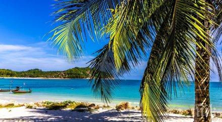 тайланд затваря райския залив мая култовия филм плажът