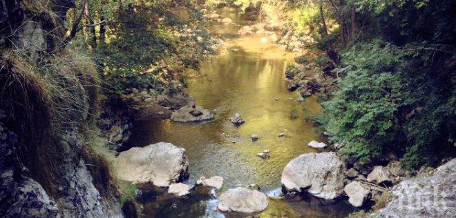 Сагата със златото в Трънско продължава! Инвеститорите обещаха да разкрият нови работни места и увеличаване на постъпленията в националния бюджет