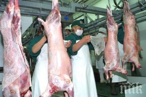 Агнешкото удари 17 лева за Гергьовден