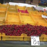 Скандално скъпите череши родиха фолклор! На пазара в Бургас се пръкна 