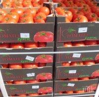 Проф. Донка Байкова: Вносните плодове и зеленчуци са рискови