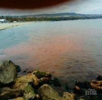 ПОЛИЧБА НАВРЪХ ПРАЗНИКА! Морето на Варна почервеня (СНИМКИ)