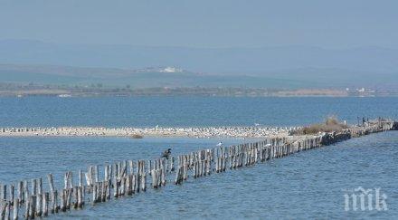 скандал екологична катастрофа сътвориха зелени балкани поморийското езеро снимки