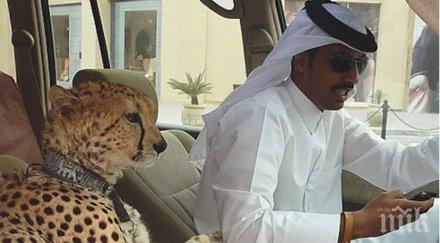 дубай мястото където срещат необичайните гледки света вижте снимки