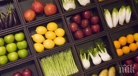 яжте плодове зеленчуци продавайте имоти вижте