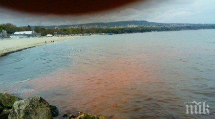 поличба навръх празника морето варна почервеня снимки