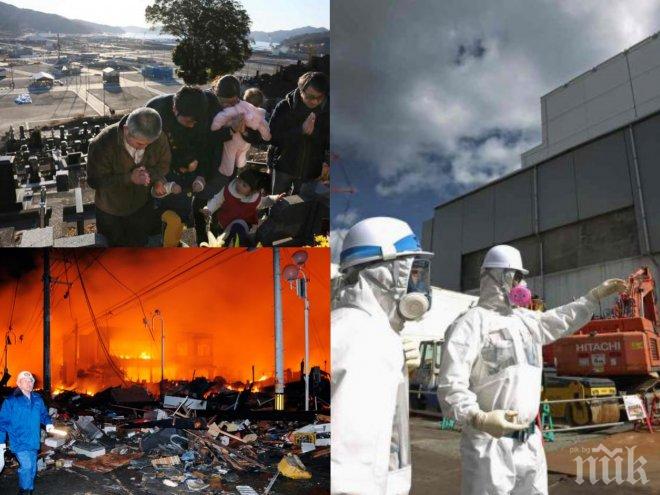 Стихия! От седмица гори пожар в радиоактивна гора в района на АЕЦ „Фукушима-1“