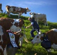 Швейцария въвежда ограничения за български и румънски работници