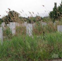 Чистят ударно гробищата в Пловдив 3 седмици преди Черешова Задушница