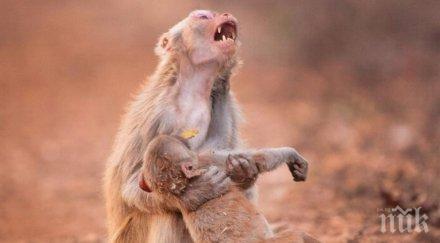 снимка разплака света каква историята