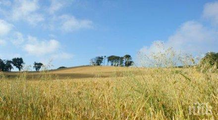 голям скок цената нивите северозапада
