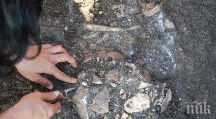 съдят известната иманярка варненско