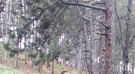 румен радев трогателен пост фейсбук милко