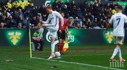 глоби солидни наказания скандала мъртвите плъхове дания