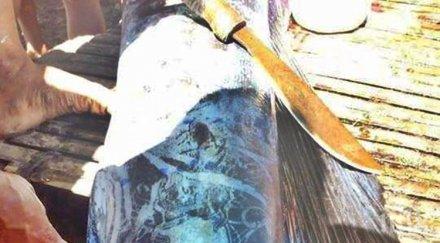 мистерия филипините уловиха риба послание дълбините океана