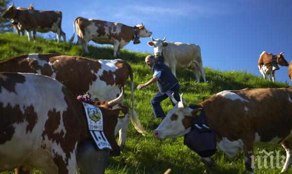 Швейцария въвежда ограничения за български и румънски работници