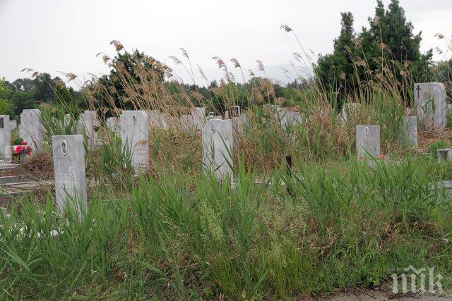 Чистят ударно гробищата в Пловдив 3 седмици преди Черешова Задушница