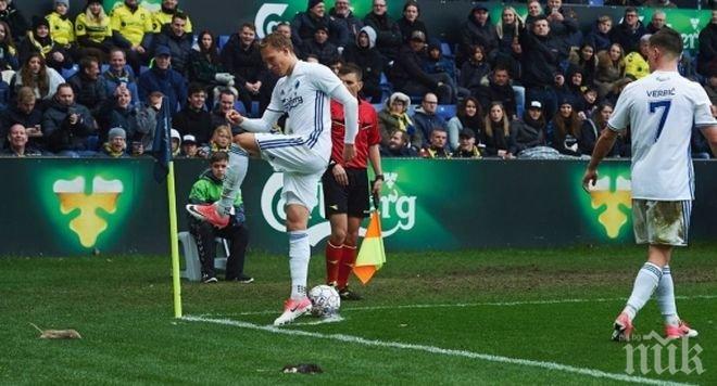 Глоби и солидни наказания след скандала с мъртвите плъхове в Дания