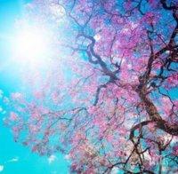 Времето днес! Преди обяд облаци и лек дъжд, следобед – предимно слънчево